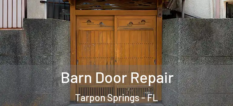  Barn Door Repair Tarpon Springs - FL