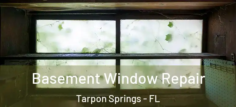  Basement Window Repair Tarpon Springs - FL