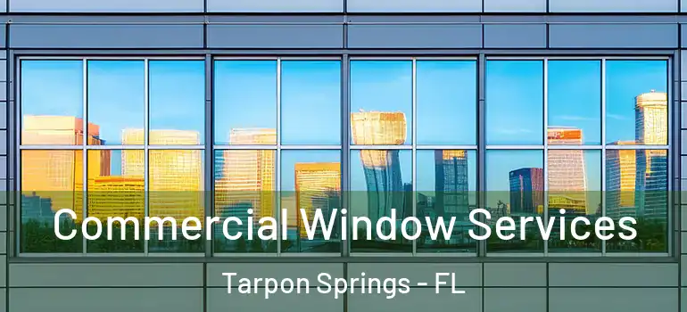  Commercial Window Services Tarpon Springs - FL