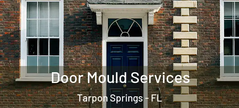  Door Mould Services Tarpon Springs - FL