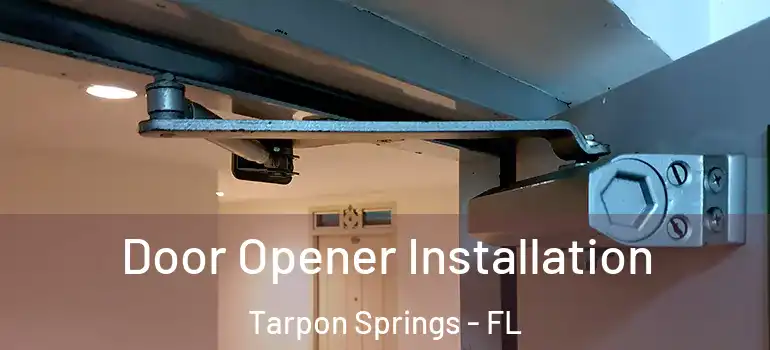  Door Opener Installation Tarpon Springs - FL