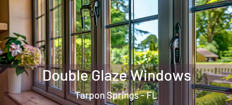  Double Glaze Windows Tarpon Springs - FL