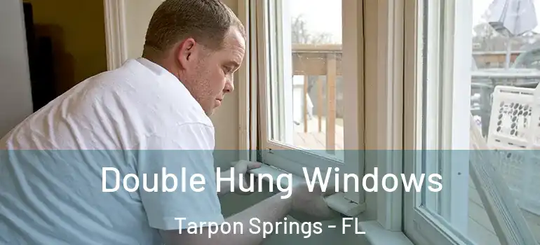  Double Hung Windows Tarpon Springs - FL