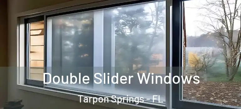  Double Slider Windows Tarpon Springs - FL