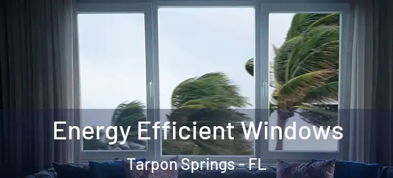  Energy Efficient Windows Tarpon Springs - FL