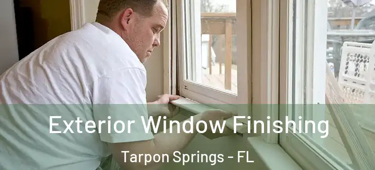  Exterior Window Finishing Tarpon Springs - FL