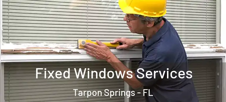  Fixed Windows Services Tarpon Springs - FL