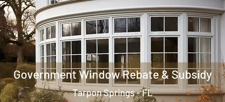 Government Window Rebate & Subsidy Tarpon Springs - FL