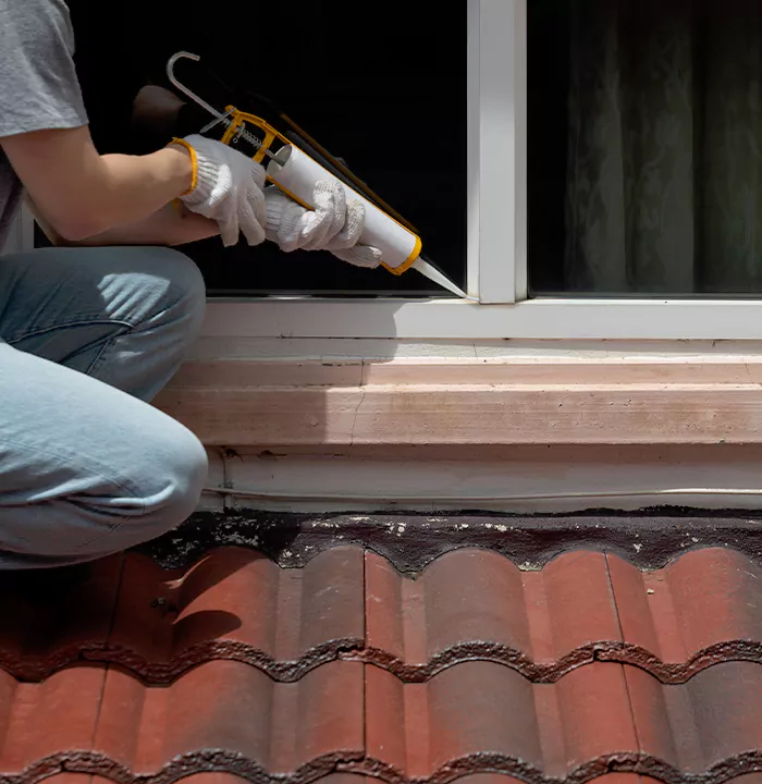 Roof Window Services in Tarpon Springs, Florida