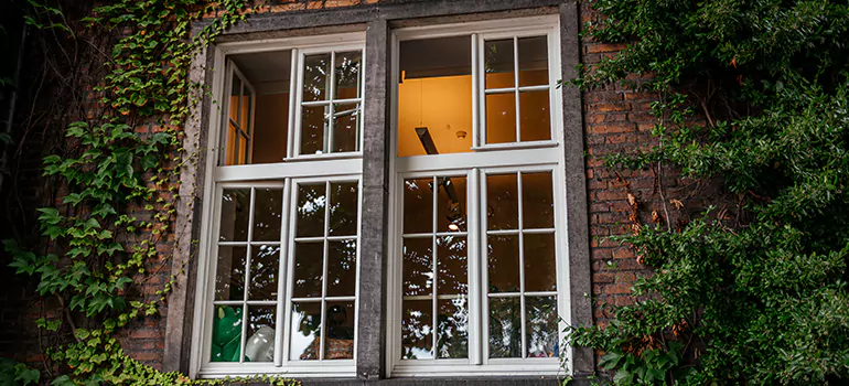 Energy Efficient Wood Windows in Tarpon Springs, FL