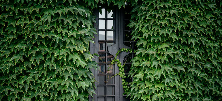 Garden Gate Repair in Tarpon Springs, FL