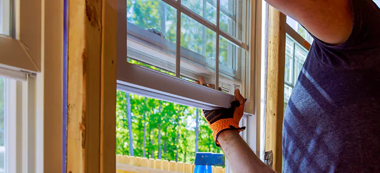 Decorative Window Film Services in Tarpon Springs, FL