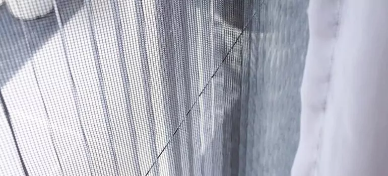 Fixing Screen Window Mesh in Tarpon Springs, FL