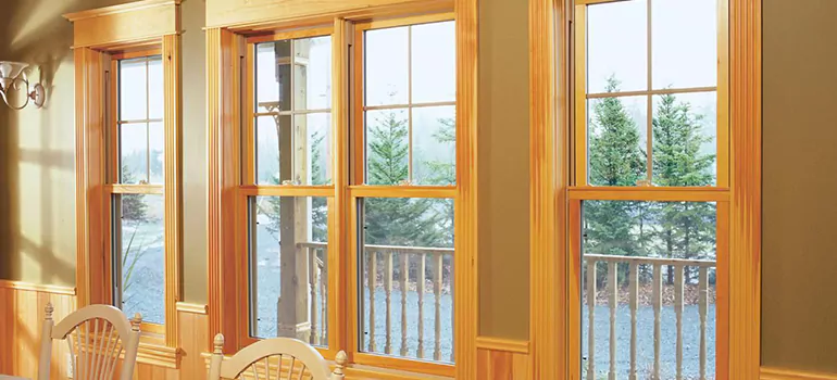 Government Incentives For Replacement Windows in Tarpon Springs, FL