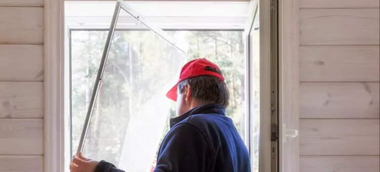 Expandable Window Screen Installation in Tarpon Springs, FL
