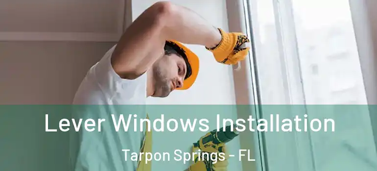  Lever Windows Installation Tarpon Springs - FL