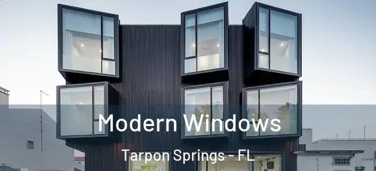  Modern Windows Tarpon Springs - FL