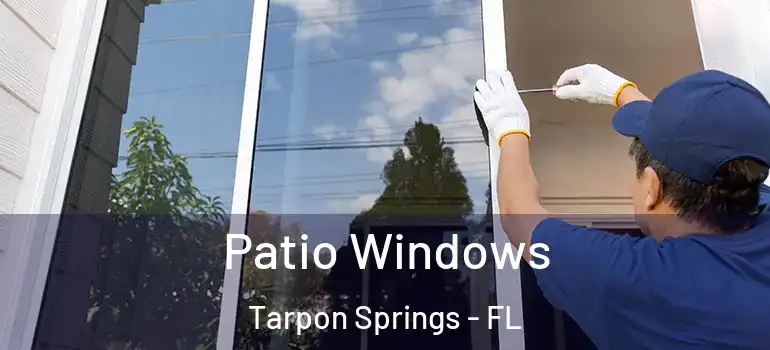  Patio Windows Tarpon Springs - FL