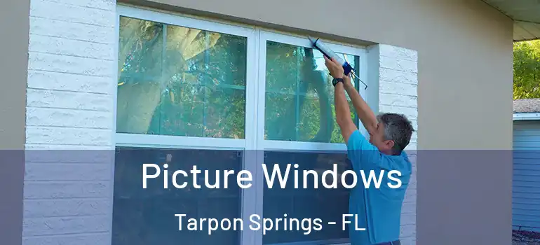  Picture Windows Tarpon Springs - FL