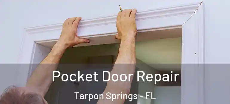  Pocket Door Repair Tarpon Springs - FL