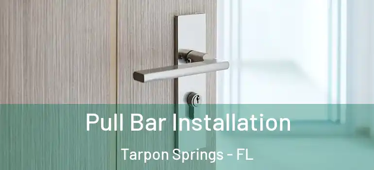  Pull Bar Installation Tarpon Springs - FL