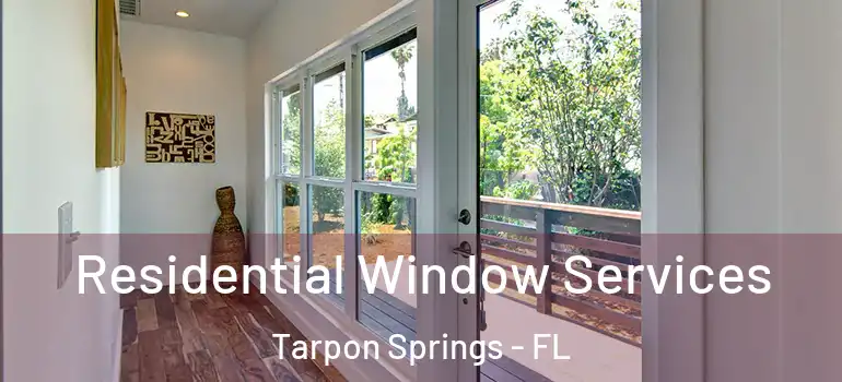  Residential Window Services Tarpon Springs - FL