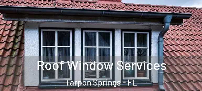  Roof Window Services Tarpon Springs - FL