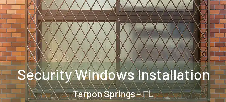  Security Windows Installation Tarpon Springs - FL