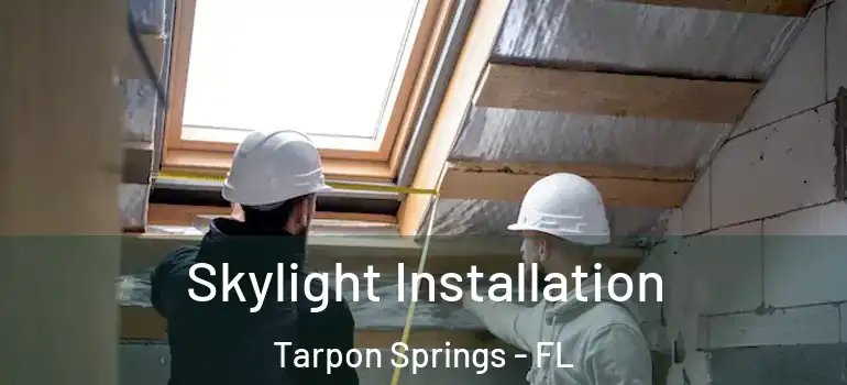  Skylight Installation Tarpon Springs - FL