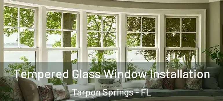  Tempered Glass Window Installation Tarpon Springs - FL