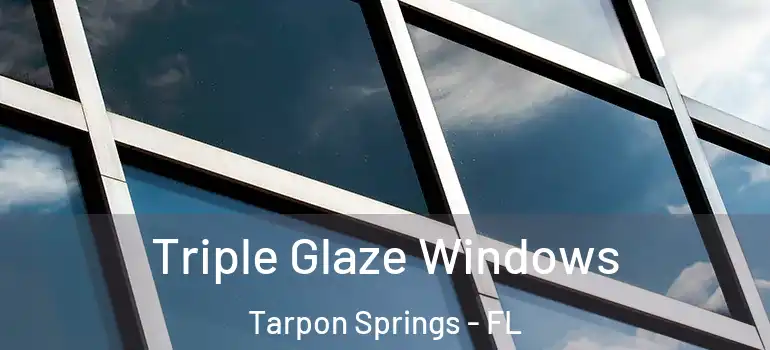  Triple Glaze Windows Tarpon Springs - FL