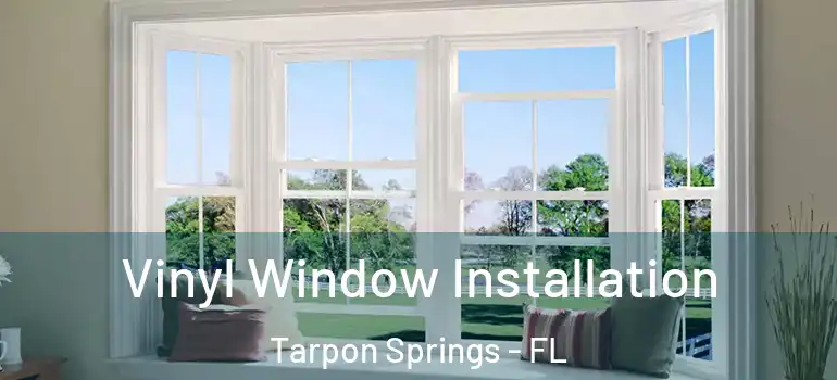  Vinyl Window Installation Tarpon Springs - FL