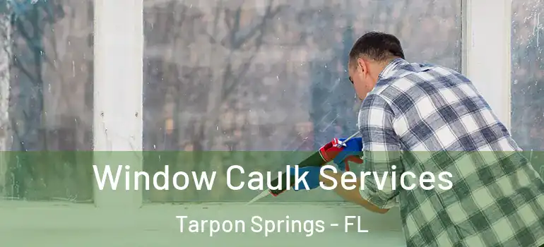  Window Caulk Services Tarpon Springs - FL