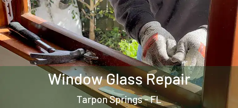  Window Glass Repair Tarpon Springs - FL
