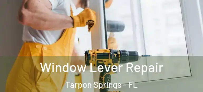  Window Lever Repair Tarpon Springs - FL