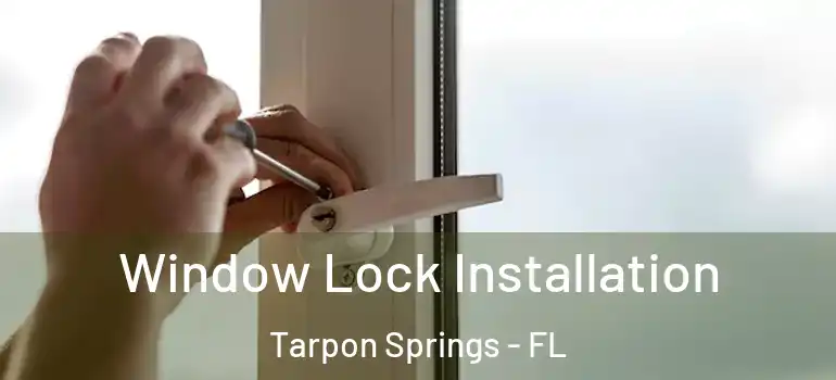  Window Lock Installation Tarpon Springs - FL