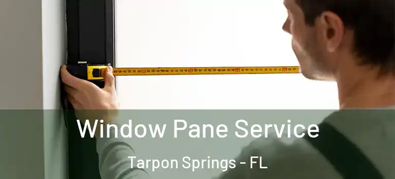  Window Pane Service Tarpon Springs - FL