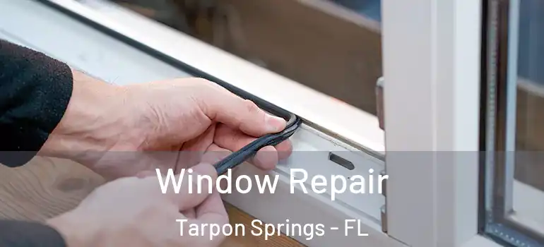  Window Repair Tarpon Springs - FL