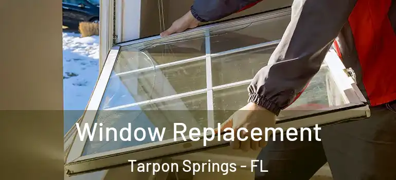  Window Replacement Tarpon Springs - FL