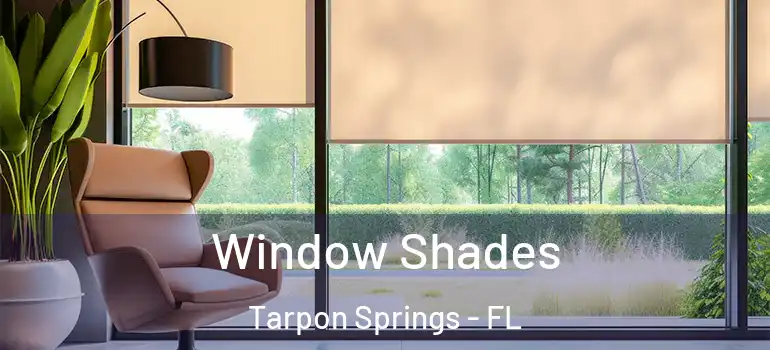  Window Shades Tarpon Springs - FL