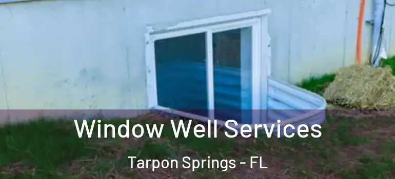  Window Well Services Tarpon Springs - FL